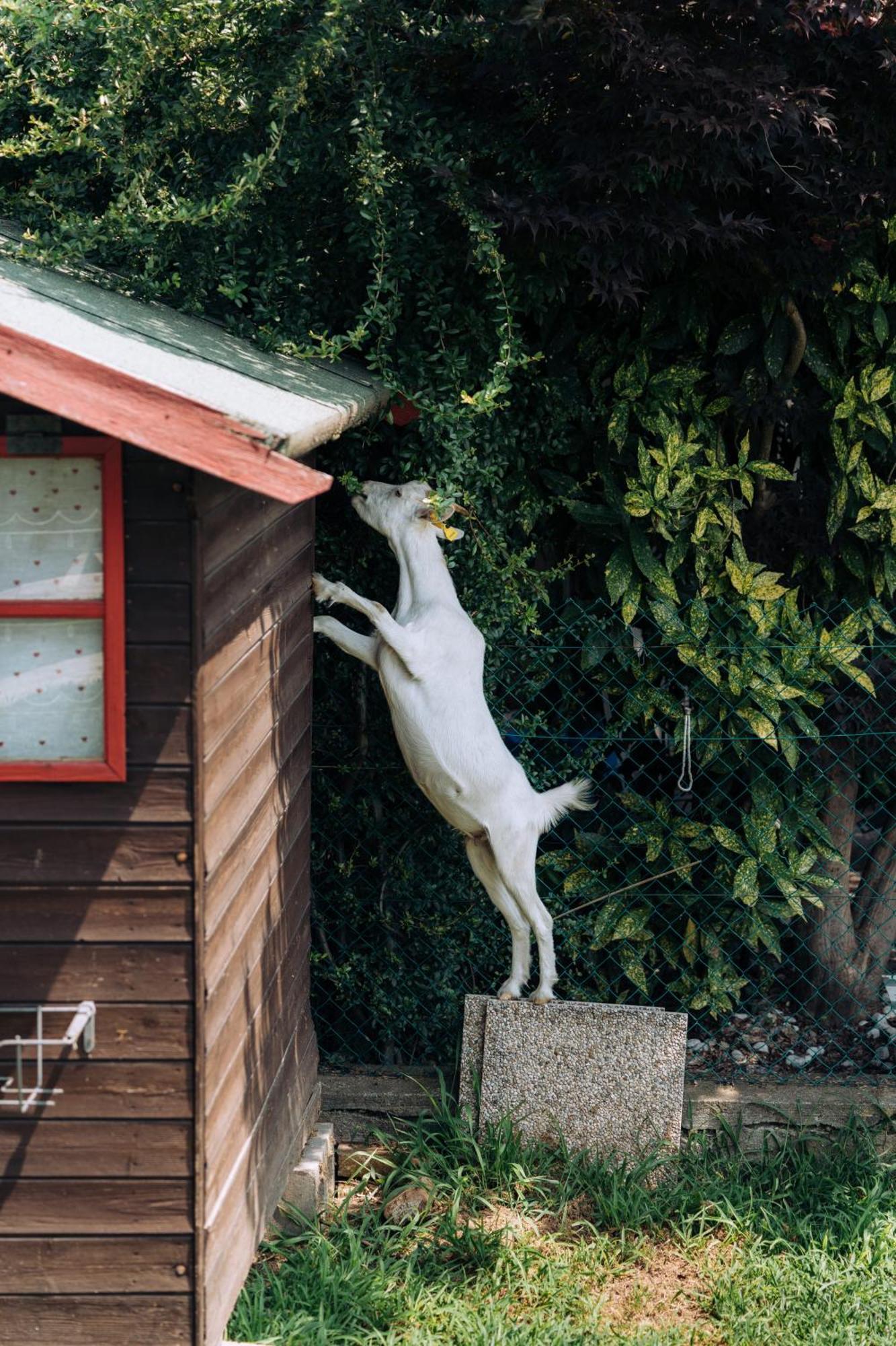 Sleep & Fly Malpensa Bed & Breakfast คาเซ นูโอเว ภายนอก รูปภาพ